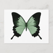 Big Green & Black Butterfly Postkarte (Vorderseite)