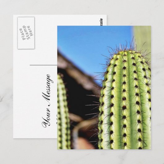 Big Green Cactus Postkarte (Vorne/Hinten)