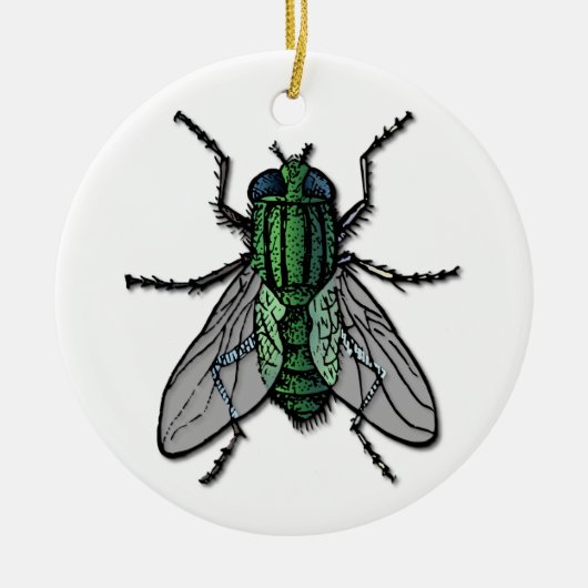 Big Green Fly Keramik Ornament (Vorne)