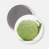 Big Green Hedgeaple Magnet (Vorderseite/Rückseite)