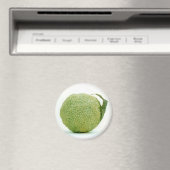 Big Green Hedgeaple Magnet (In Situ (Geschirrspüler))