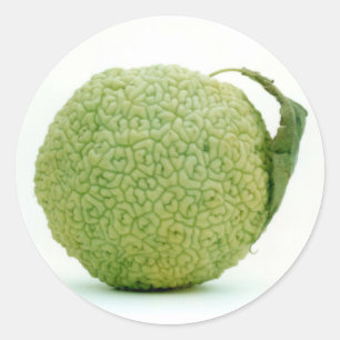 Big Green Hedgeaple Runder Aufkleber