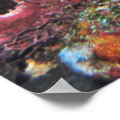 Big Green Moray Poster (Ecke)