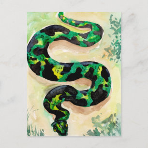 Big Green Snake Postkarte