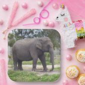 Big Grey Asian Elephant Paper Teller (Party)