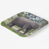 Big Grey Asian Elephant Paper Teller (Gewinkelt)