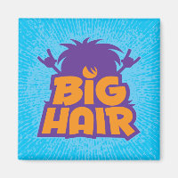Big-Hair-Band-Logo