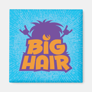 Big-Hair-Band-Logo Magnet