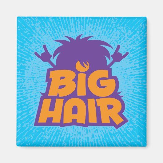 Big-Hair-Band-Logo Magnet (Vorne)