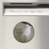 Big Hintern - Keine Schwanz Katze Magnet (In Situ (Geschirrspüler))