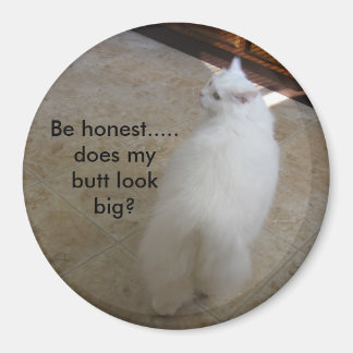 Big Hintern - Keine Schwanz Katze Magnet