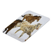 Big Horn-Berge, Pferde, die in den Schnee 4 laufen Magnet (Linke Seite)