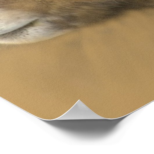 Big Horn Chalk Zeichnend Poster (Ecke)