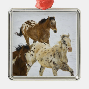 Big Horn Mountains, Horses running in the snow Ornament Aus Metall