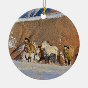 Big Horn Mountains, Pferde laufen Keramikornament