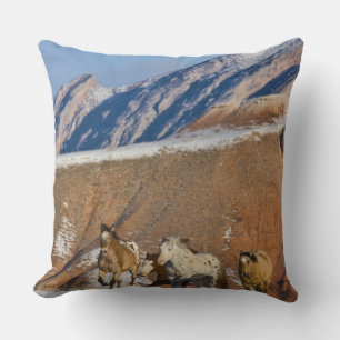 Big Horn Mountains, Pferde laufen Kissen