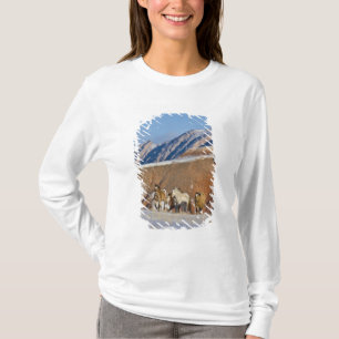 Big Horn Mountains, Pferde laufen T-Shirt