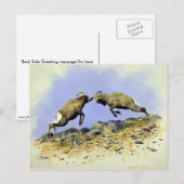 Big Horn Postkarte (Vorne/Hinten)