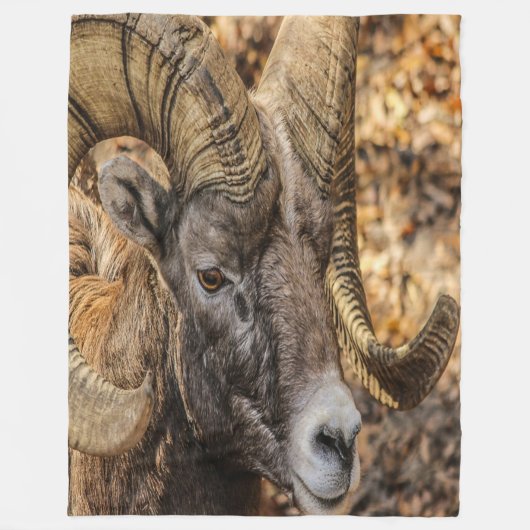 Big Horn Ram Fleecedecke (Vorderseite)