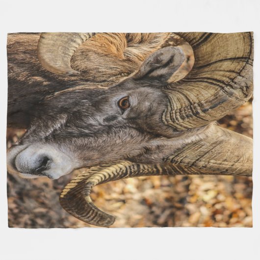 Big Horn Ram Fleecedecke (Vorderseite (Horizontal))