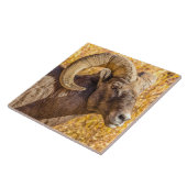 Big Horn Ram Fliese (Seite)
