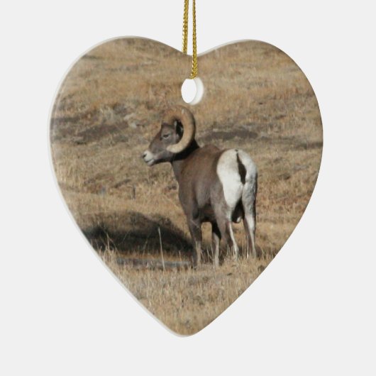 Big Horn Ram Keramikornament (Rechts)