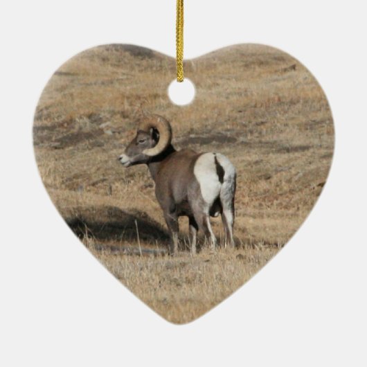 Big Horn Ram Keramikornament (Hinten)