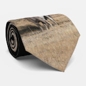 Big Horn Ram Krawatte (Gerollt)