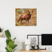Big Horn Ram Poster (Heimbüro)