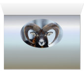 Big Horn-RAM-Schafe - Mouflon (Innenansicht Horizontal (Unten))