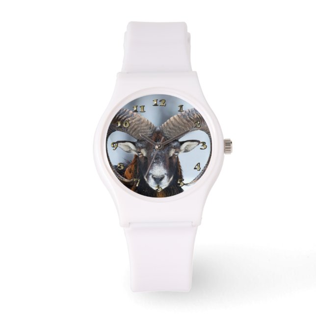 Big Horn Ram Sheep - Mouflon Armbanduhr (Vorderseite)