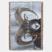 Big Horn Ram Sheep - Mouflon Decke (Vorderseite Vertikal)