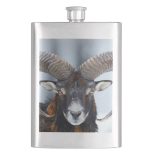 Big Horn Ram Sheep - Mouflon Flachmann
