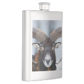 Big Horn Ram Sheep - Mouflon Flachmann (Rechts)