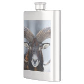 Big Horn Ram Sheep - Mouflon Flachmann (Links)