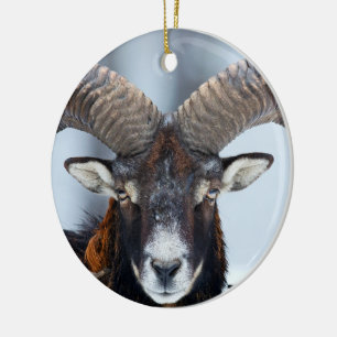 Big Horn Ram Sheep - Mouflon Keramik Ornament