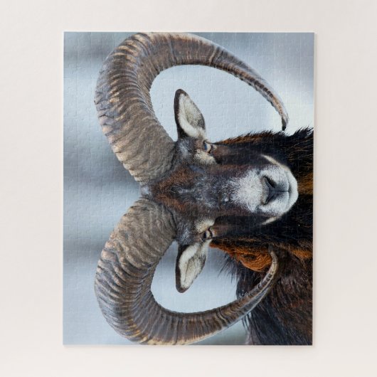 Big Horn Ram Sheep - Mouflon Puzzle (Vertikal)