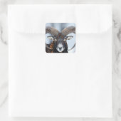 Big Horn Ram Sheep - Mouflon Quadratischer Aufkleber (Tasche)