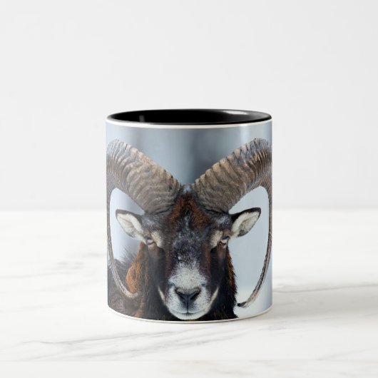 Big Horn Ram Sheep - Mouflon Zweifarbige Tasse (Mittel)