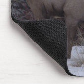 Big Horn-Schaf-Mausunterlage Mousepad (Ecke)