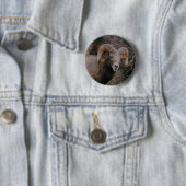 Big Horn-Schafe Button (Beispiel)