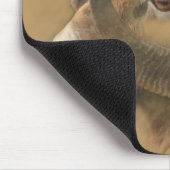 Big Horn-Schafe Mousepad (Ecke)