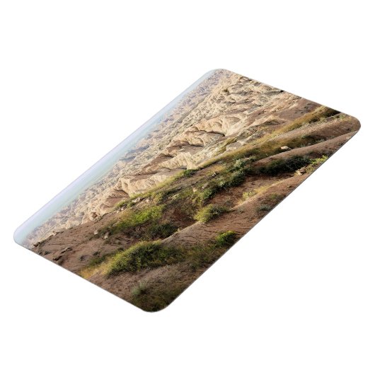 Big Horn Sheep im Badlands National Park, SD Magnet (Linke Seite)