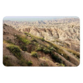 Big Horn Sheep im Badlands National Park, SD Magnet (Horizontal)