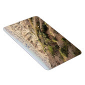 Big Horn Sheep im Badlands National Park, SD Magnet (Rechte Seite)