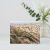 Big Horn Sheep im Badlands National Park, SD Postkarte (Stehend Vorderseite)
