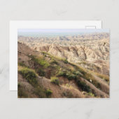 Big Horn Sheep im Badlands National Park, SD Postkarte (Vorne/Hinten)