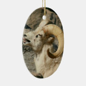 Big Horn Sheep Laghing Keramikornament (Rechts)