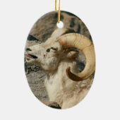 Big Horn Sheep Laghing Keramikornament (Hinten)