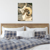Big Horn Sheep Laghing Leinwanddruck (Insitu (Schlafzimmer))
